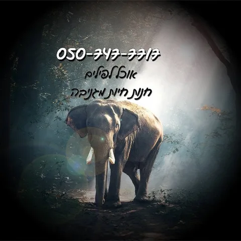 תמונת פרופיל של אוכל לחיות במגדל העמק - מזון וציוד לבעלי חיים, לכלב ולחתול