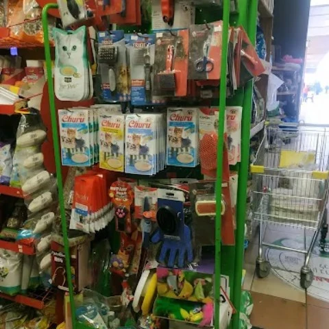 אביזרים ומוצרי טיפוח לכלבים וחתולים בחנות אוכל לפילים במגדל העמק