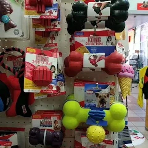 צעצועי לעיסה וכדורים לכלבים בחנות חיות במגדל העמק