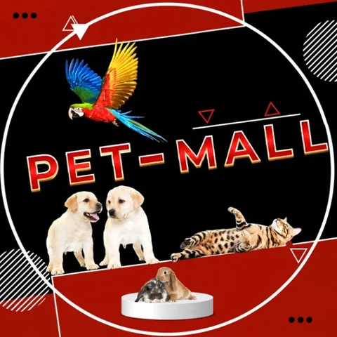 תמונת פרופיל של Pet Mall | חנות חיות במגדל העמק - מזון וציוד לכלבים ולחתולים