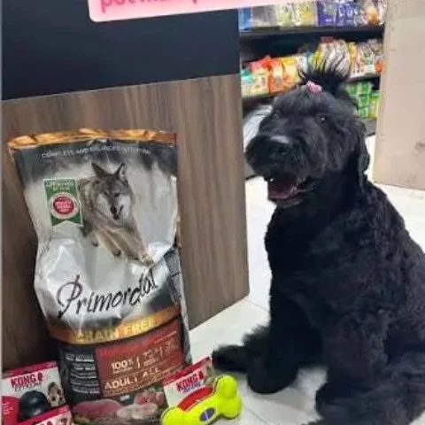 תמונה 6 בגלריה של Pet Mall | חנות חיות במגדל העמק